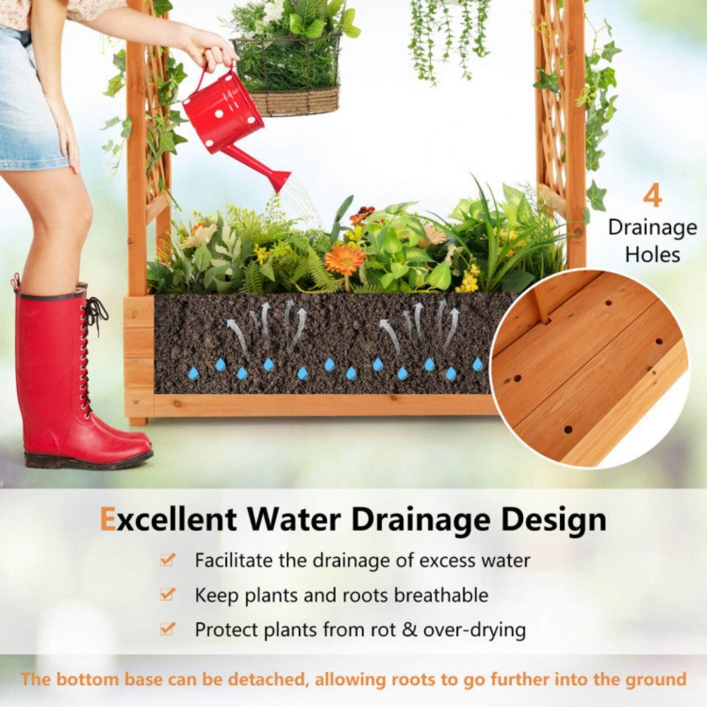 Raised Garden Bed With Trellis Or Climbing Plant And Hanging Roof